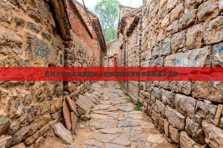 石河子前往三亚鹿回头大型旅游团