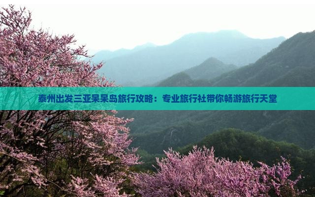 泰州前往三亚呆呆岛旅行社