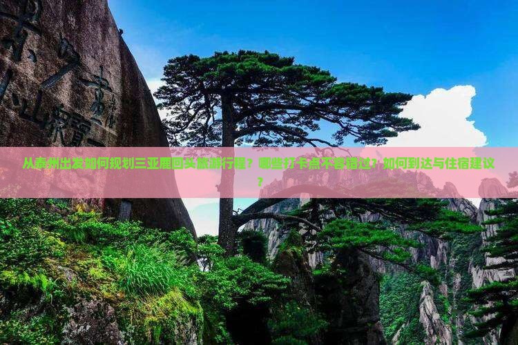 泰州出发三亚鹿回头旅游打卡点