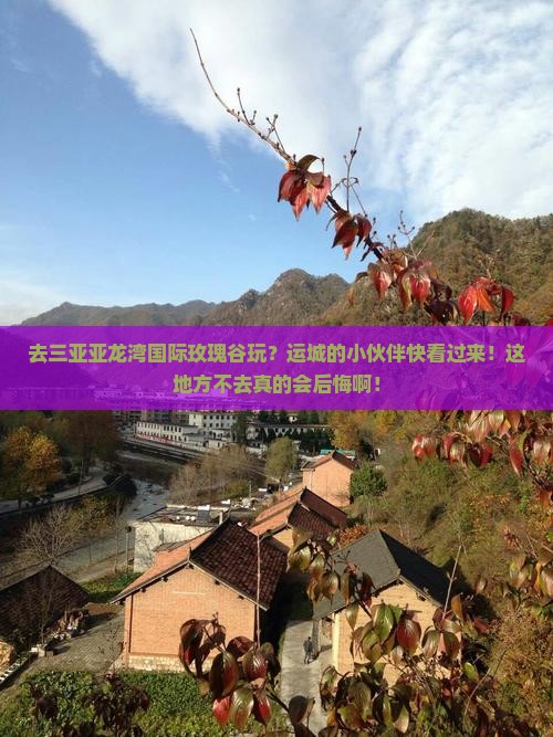 运城前往三亚亚龙湾国际玫瑰谷必玩地