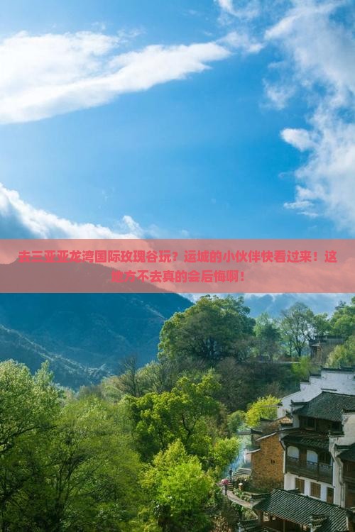 运城前往三亚亚龙湾国际玫瑰谷必玩地
