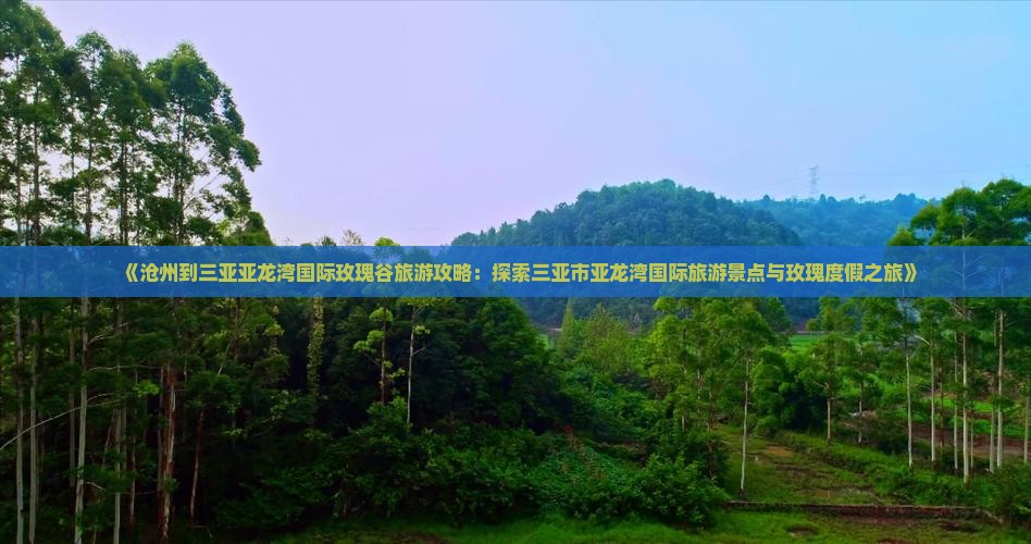 沧州出发三亚亚龙湾国际玫瑰谷旅游