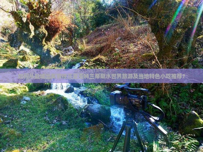 盐城前往三亚亚特兰蒂斯水世界旅游小吃