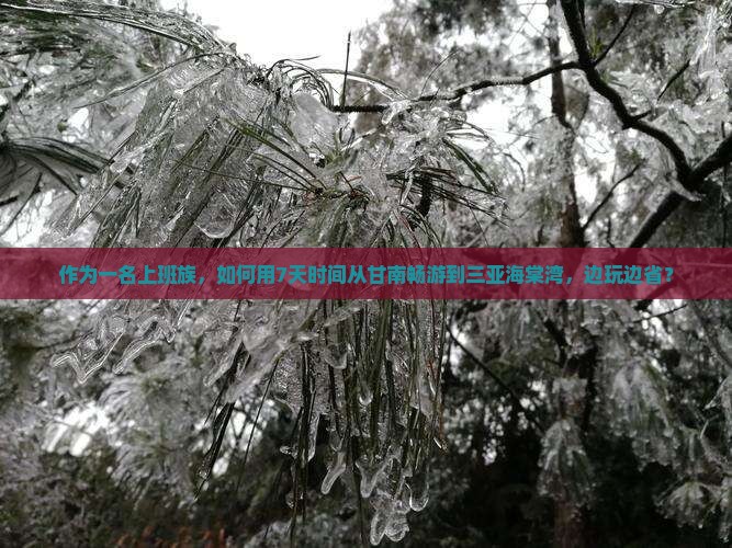 甘南去三亚海棠湾个人游