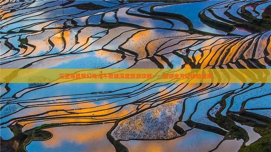 来宾去三亚海昌梦幻海洋不夜城一日游