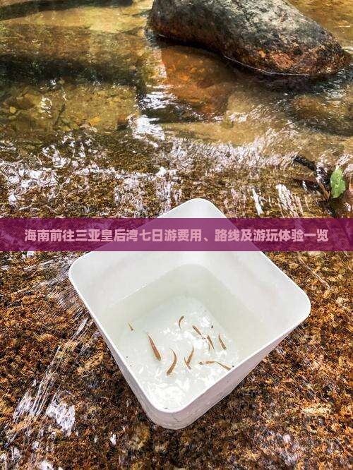 海南前往三亚皇后湾七日游