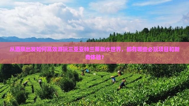 酒泉出发三亚亚特兰蒂斯水世界哪里玩