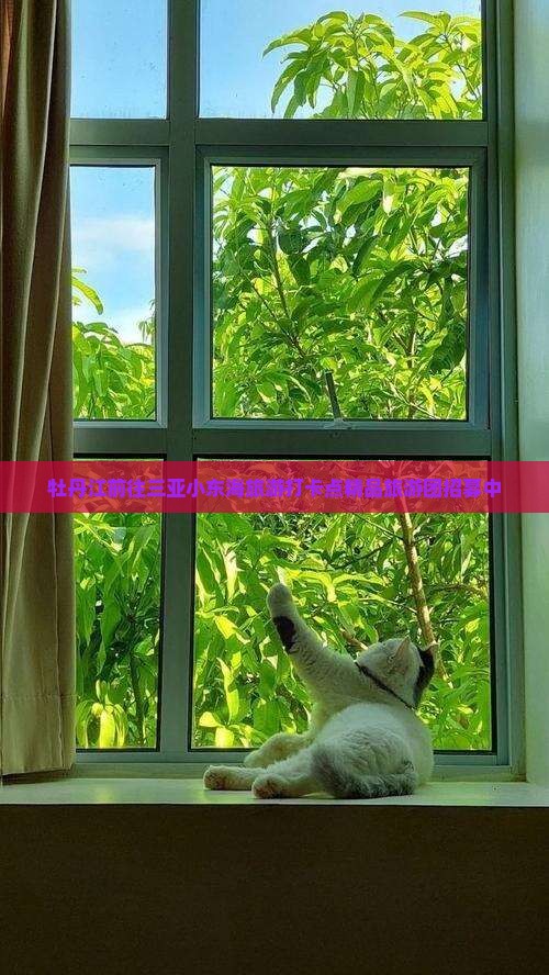 牡丹江前往三亚小东海旅游打卡点