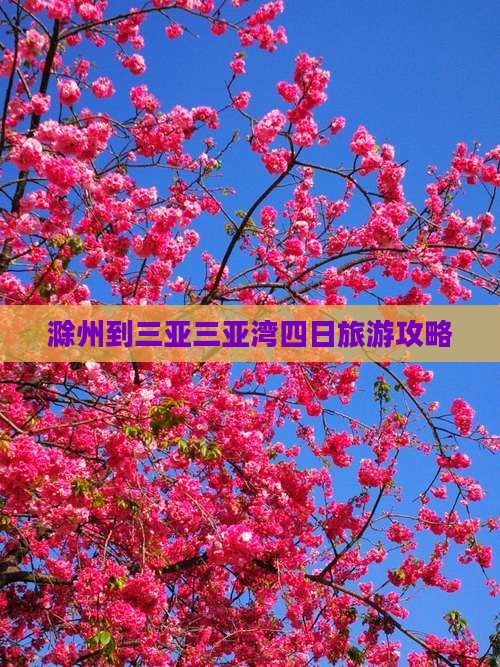 滁州去三亚三亚湾四日游