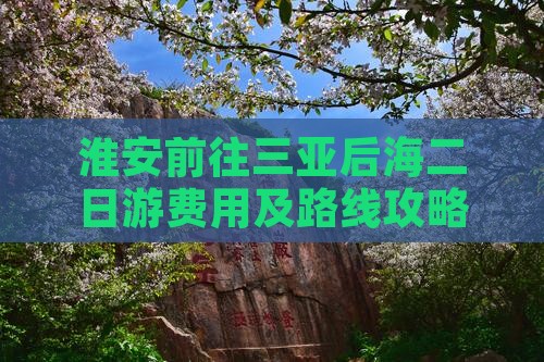 淮安前往三亚后海二日游