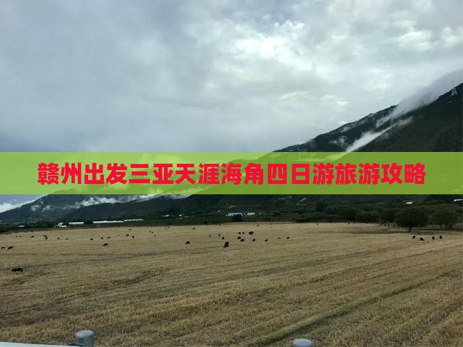 赣州出发三亚天涯海角四日游
