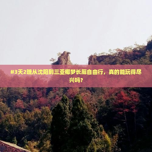 沈阳出发三亚椰梦长廊自由团