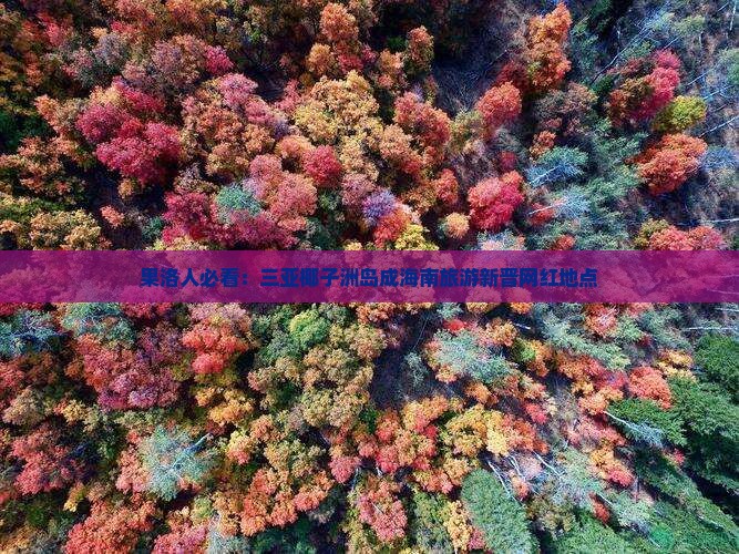 果洛前往三亚椰子洲岛旅游网红地点