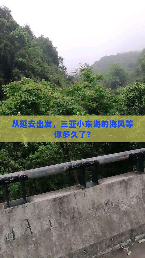 延安出发三亚小东海哪里玩