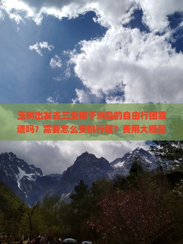 玉树前往三亚椰子洲岛自由团