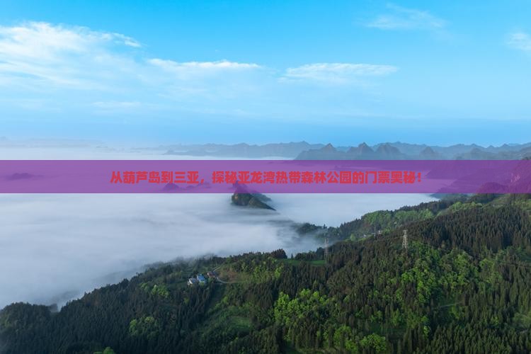 葫芦岛出发三亚亚龙湾热带森林公园门票
