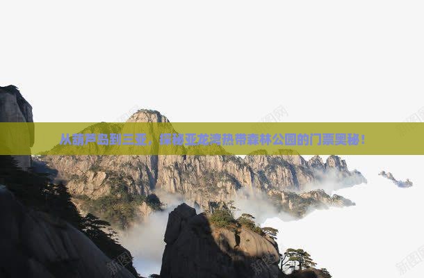 葫芦岛出发三亚亚龙湾热带森林公园门票
