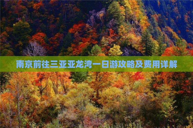 南京前往三亚亚龙湾一日游