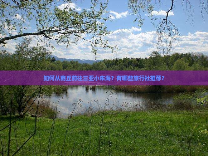商丘出发三亚小东海旅行社
