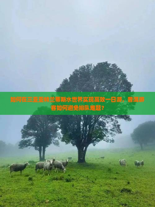普洱去三亚亚特兰蒂斯水世界一日游