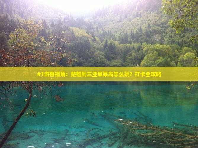楚雄去三亚呆呆岛旅游打卡点