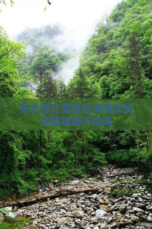 张北出发三亚西岛自由团