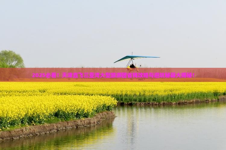 天津前往三亚三亚湾大型旅游团
