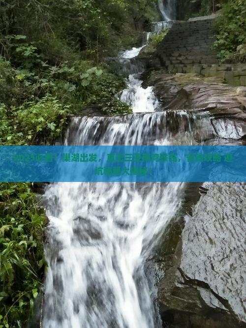 巢湖去三亚南湾猴岛团体旅游