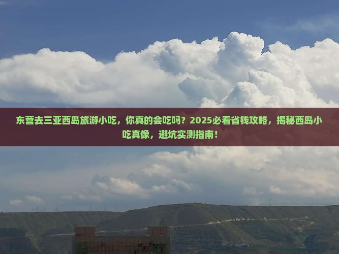 东营去三亚西岛旅游小吃