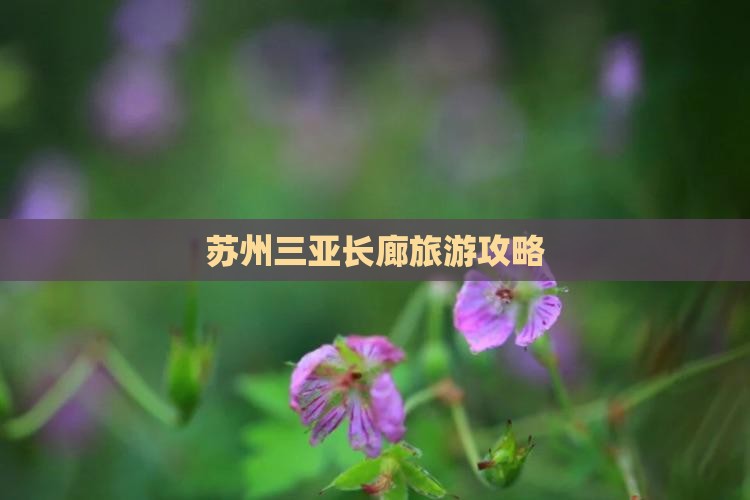 苏州出发三亚椰梦长廊团体旅游