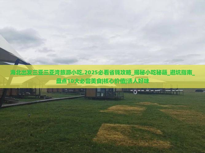 海北出发三亚三亚湾旅游小吃