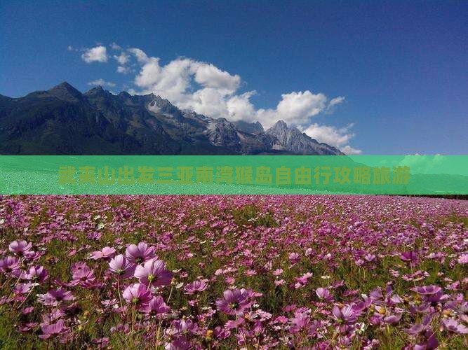 武夷山出发三亚南湾猴岛自由行