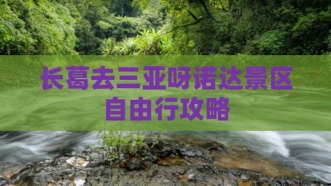 长葛去三亚呀诺达景区自由行