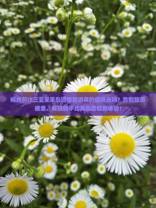 郴州前往三亚呆呆岛团体旅游