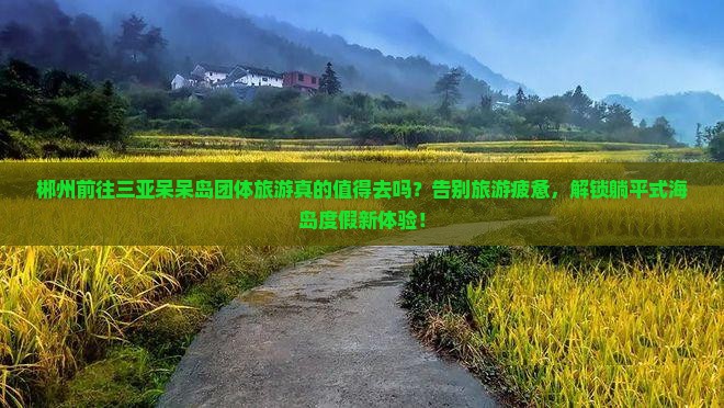郴州前往三亚呆呆岛团体旅游