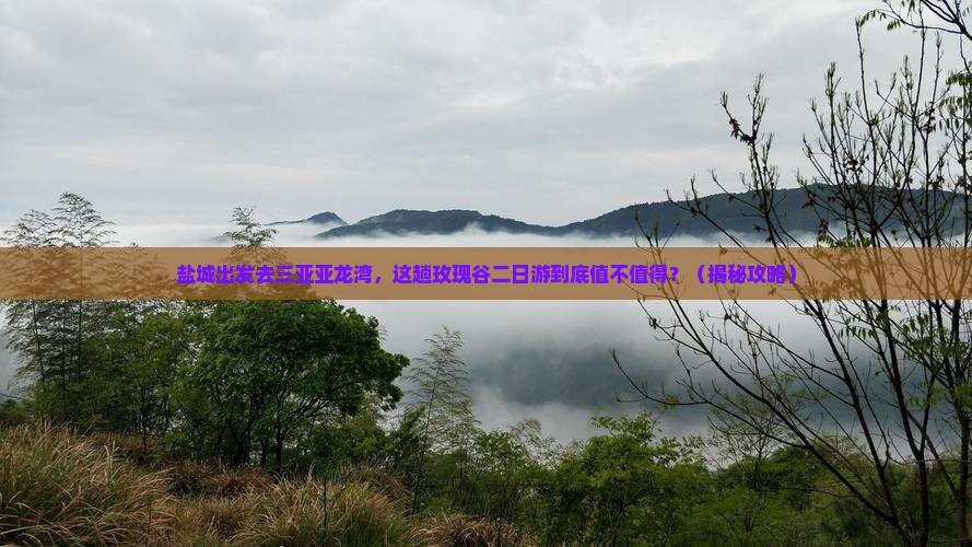 盐城出发三亚亚龙湾国际玫瑰谷二日游