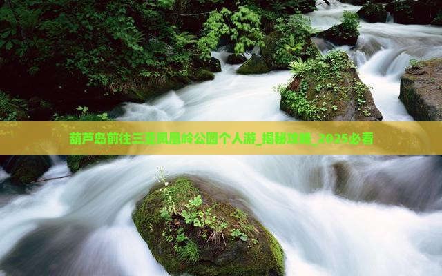 葫芦岛前往三亚凤凰岭公园个人游