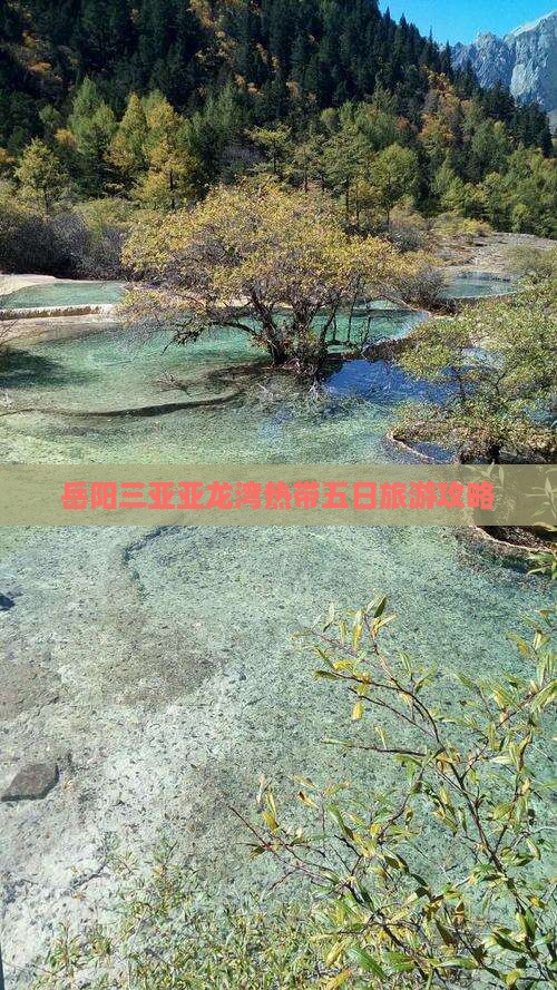 岳阳出发三亚亚龙湾热带森林公园五日游