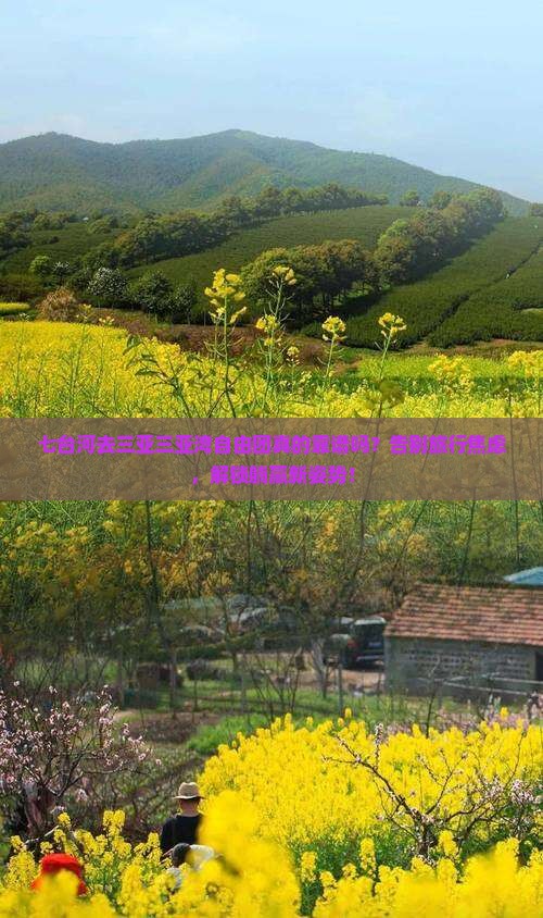 七台河去三亚三亚湾自由团