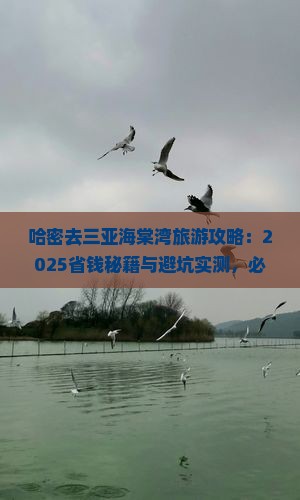 哈密去三亚海棠湾旅游