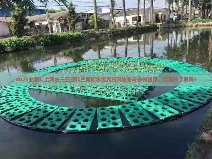 上海去三亚亚特兰蒂斯水世界旅游打卡点
