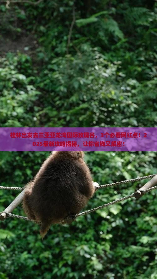 桂林出发三亚亚龙湾国际玫瑰谷旅游网红地点