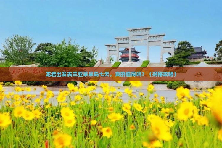 龙岩去三亚呆呆岛七日游
