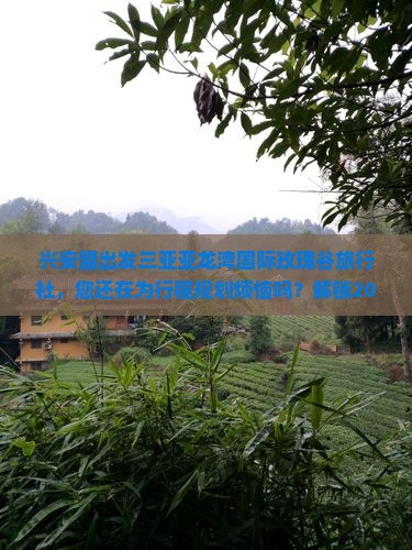 兴安盟出发三亚亚龙湾国际玫瑰谷旅行社