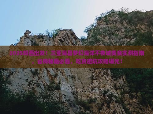 鸡西出发三亚海昌梦幻海洋不夜城旅游小吃