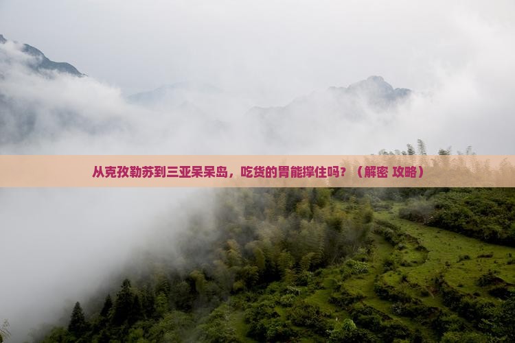 克孜勒苏去三亚呆呆岛旅游小吃