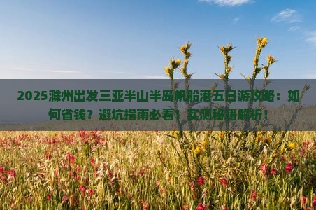 滁州出发三亚半山半岛帆船港五日游