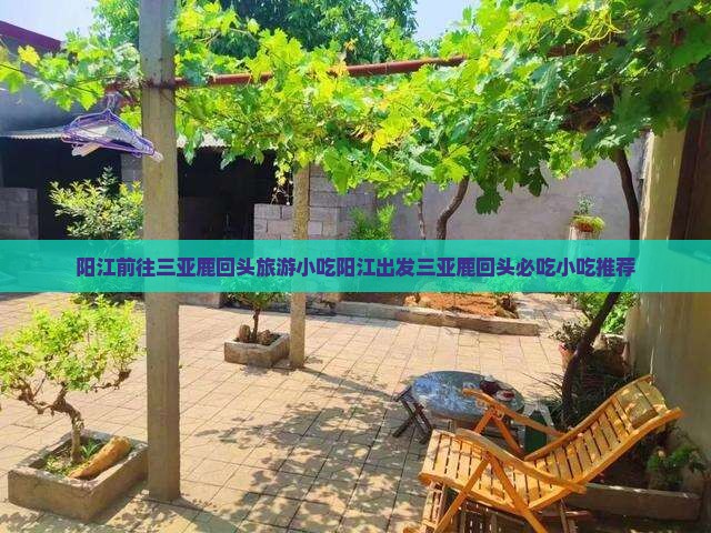 阳江前往三亚鹿回头旅游小吃