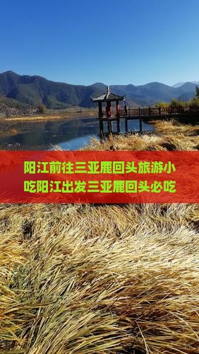 阳江前往三亚鹿回头旅游小吃