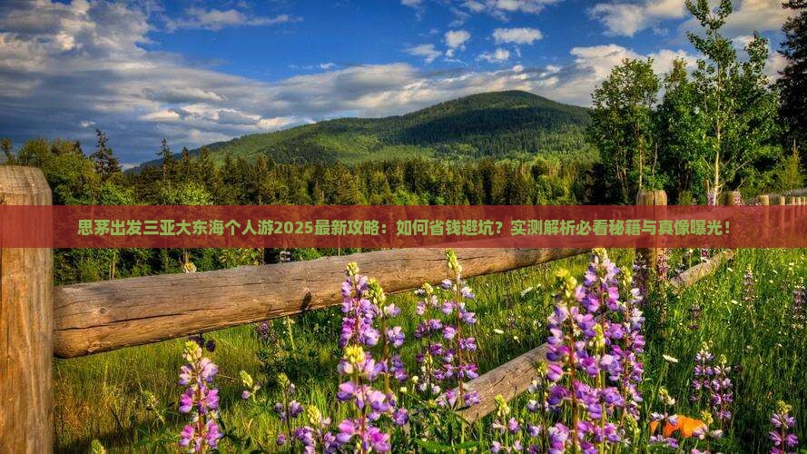 思茅出发三亚大东海个人游